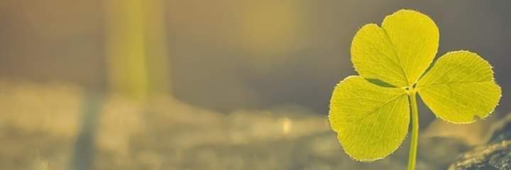 DannyNgo91's profile banner image