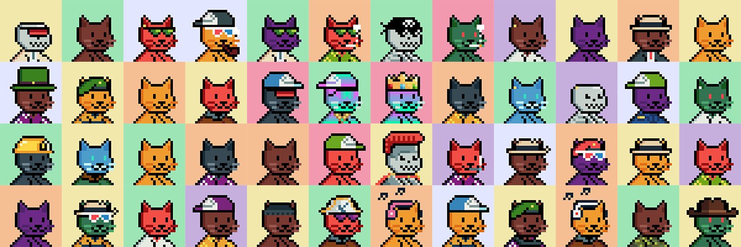 Solana Feline Business banner