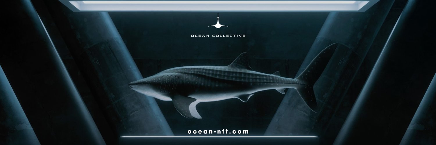 Ocean Collective - Ocean NFTs banner