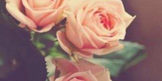malaa_malaa's profile banner image