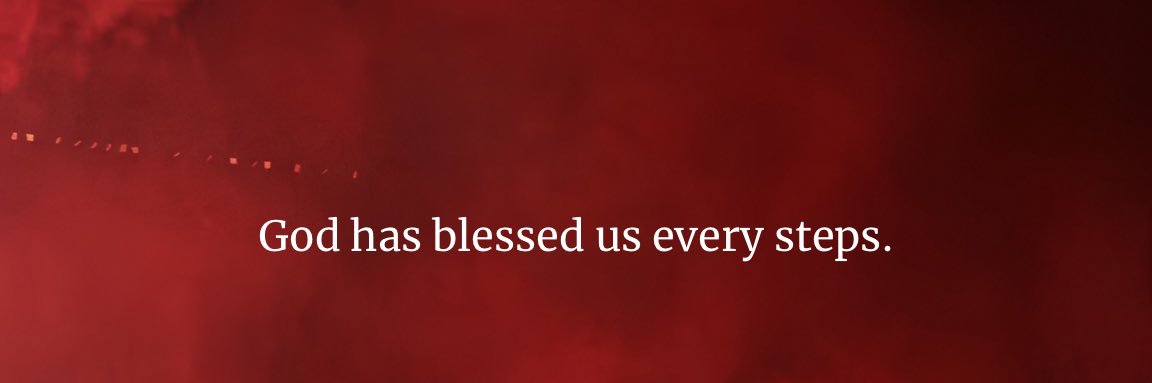 vn banner