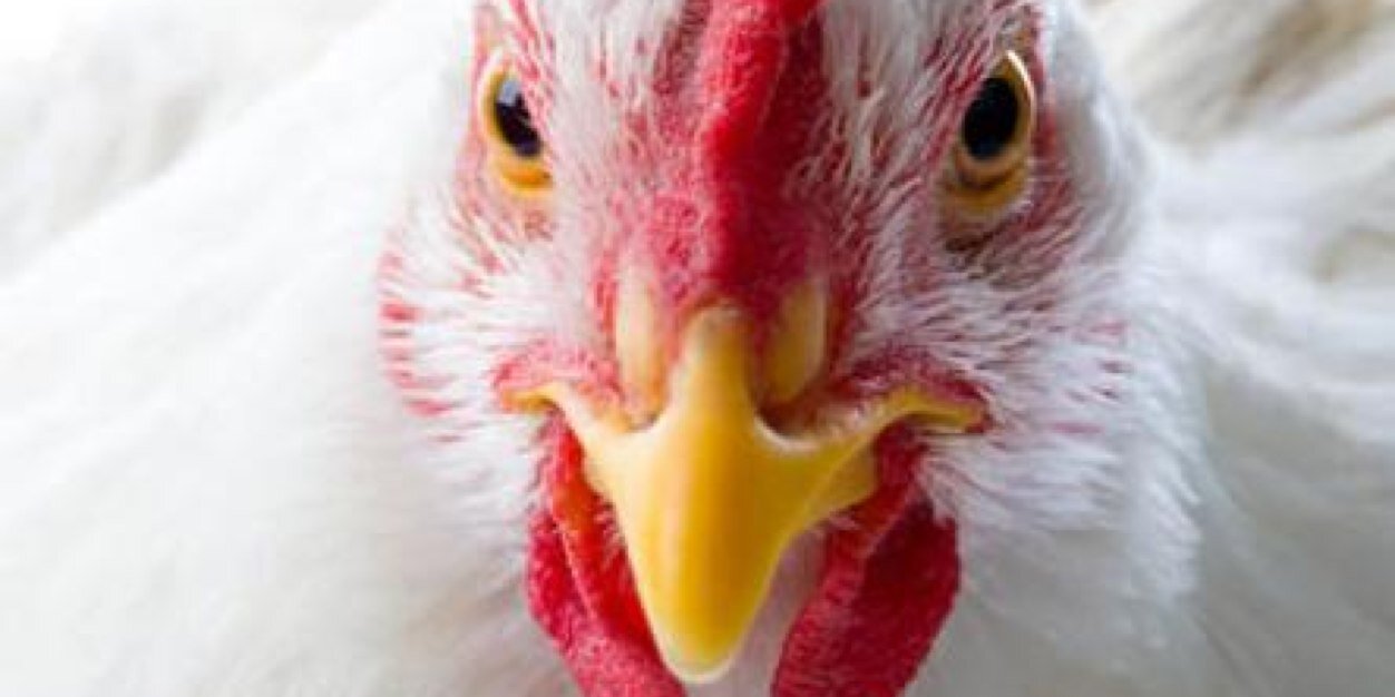 Kemper_twitt's profile banner image