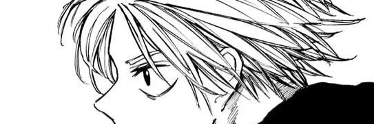 lychee banner