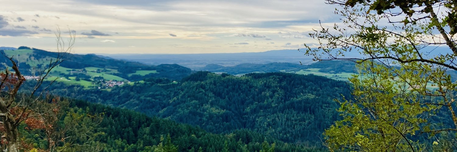 Christian Dries banner