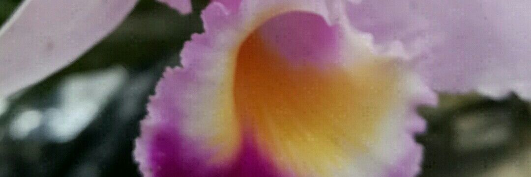 ALEXITA67's profile banner image