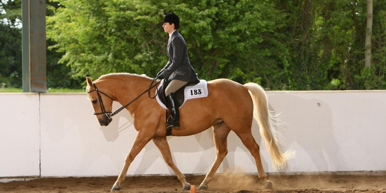 Deborah Helen Flynn banner