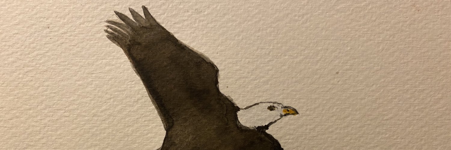 simplesoul's profile banner image