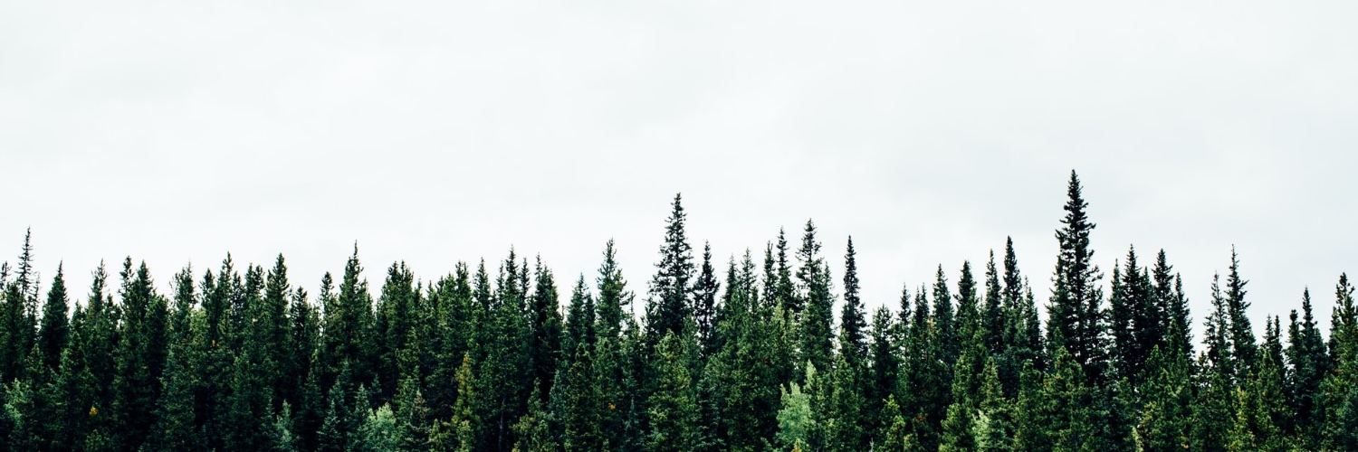 Evergreen Apps 🌲📱🤳 banner