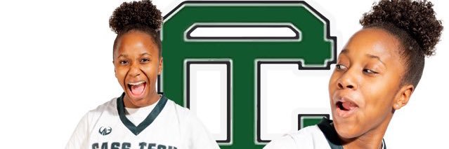 Natasha Shell banner