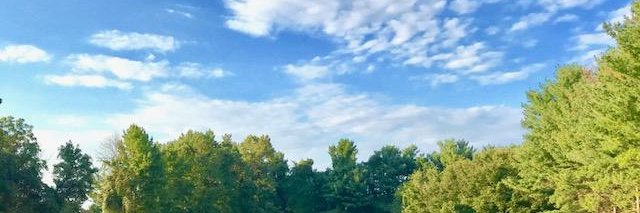 Stephanie C Calabrese banner