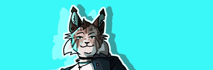 LizIsLiving's profile banner image