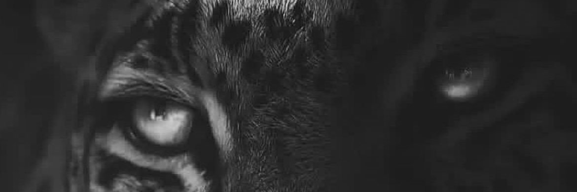 جدة 22-171-56. ❤️‍🔥😮‍💨 banner