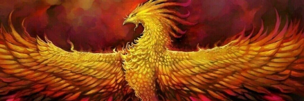 sadeghdaliri's profile banner image