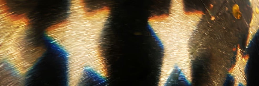 bubbles banner
