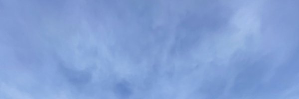 friberginc Profile Banner