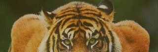 mohammad___191's profile banner image