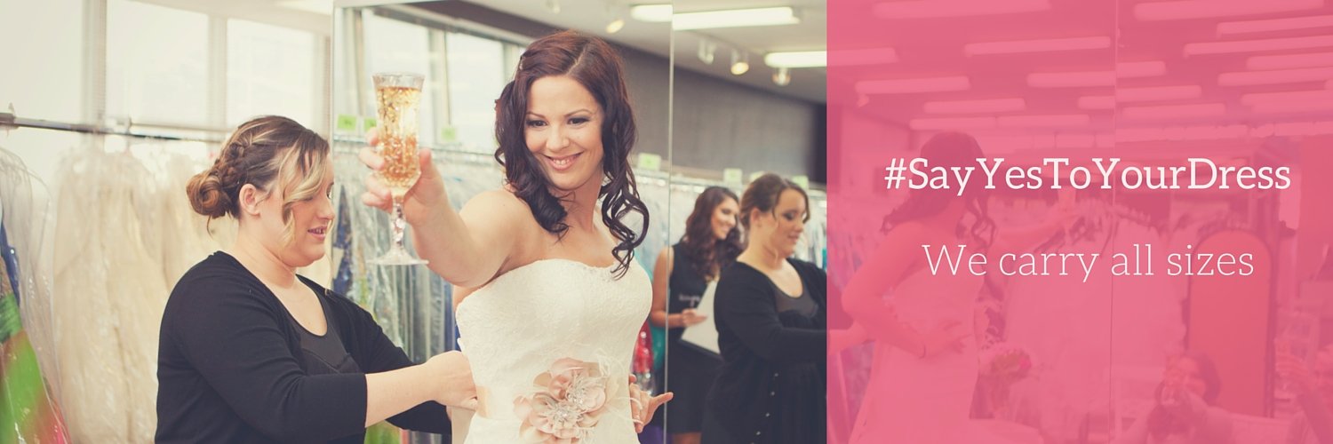 Dominique Levesque banner
