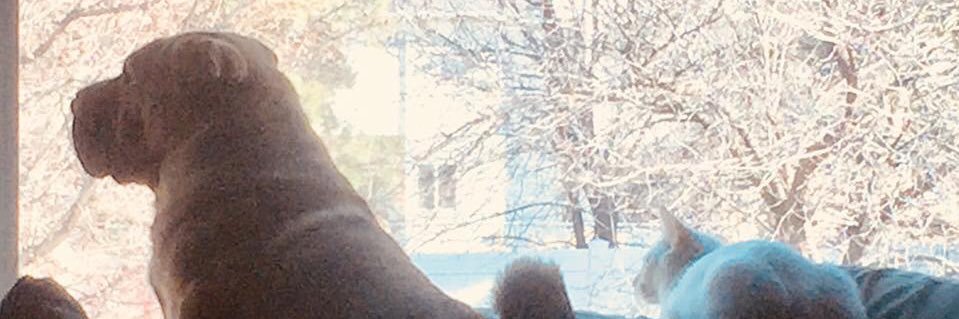Dmax_UTlax's profile banner image