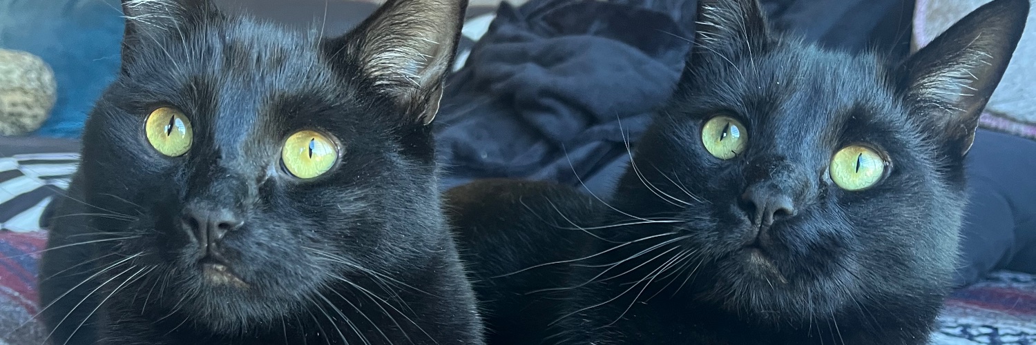 Kellsie Cara Jones banner