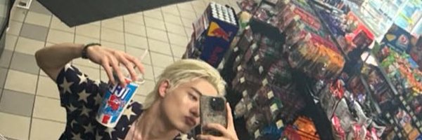 lileeder Profile Banner