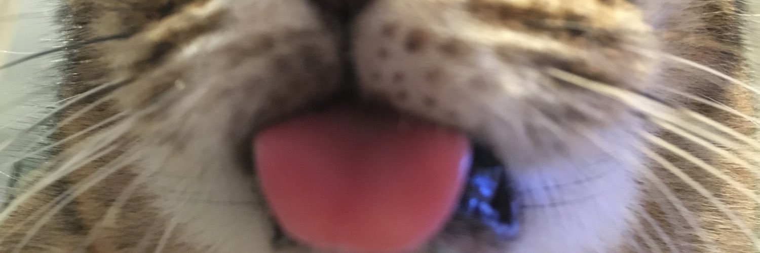 kaopingapple's profile banner image