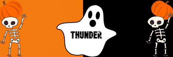 TeamThunderr Profile Banner