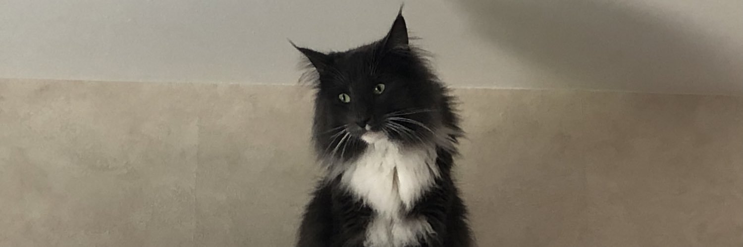 Jérôme Tomasini banner