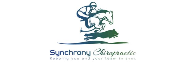synchronychiro Profile Banner