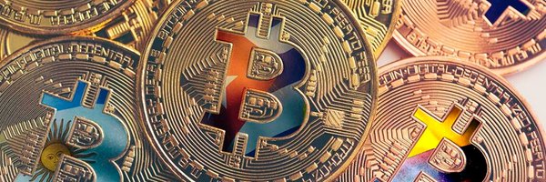 bitcrip1984 Profile Banner