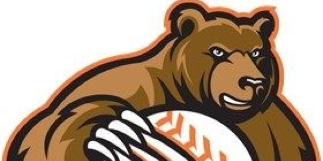 Goderich Grizzlies banner