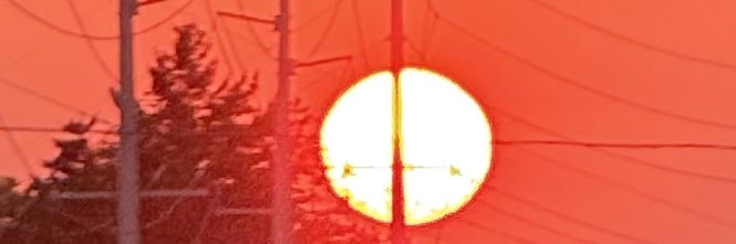 readyfobed's profile banner image