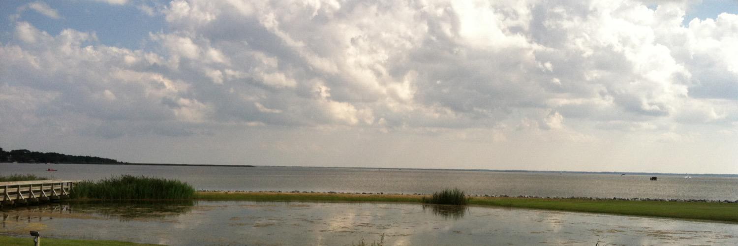 Kathryn Tharrington banner