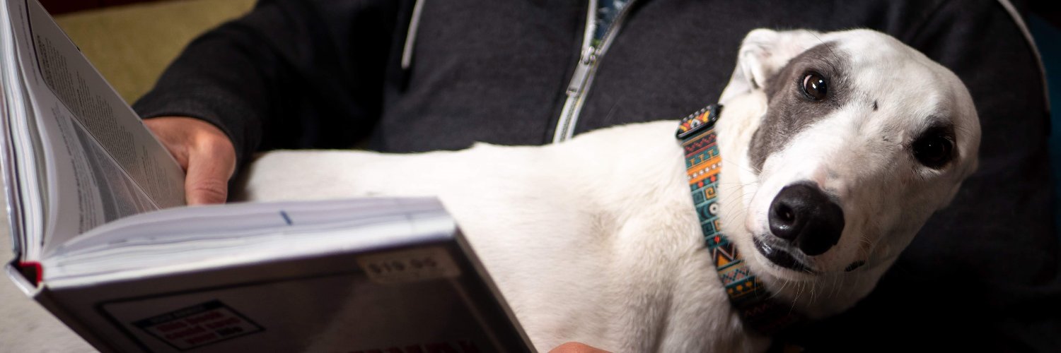 GAPNZ's profile banner image