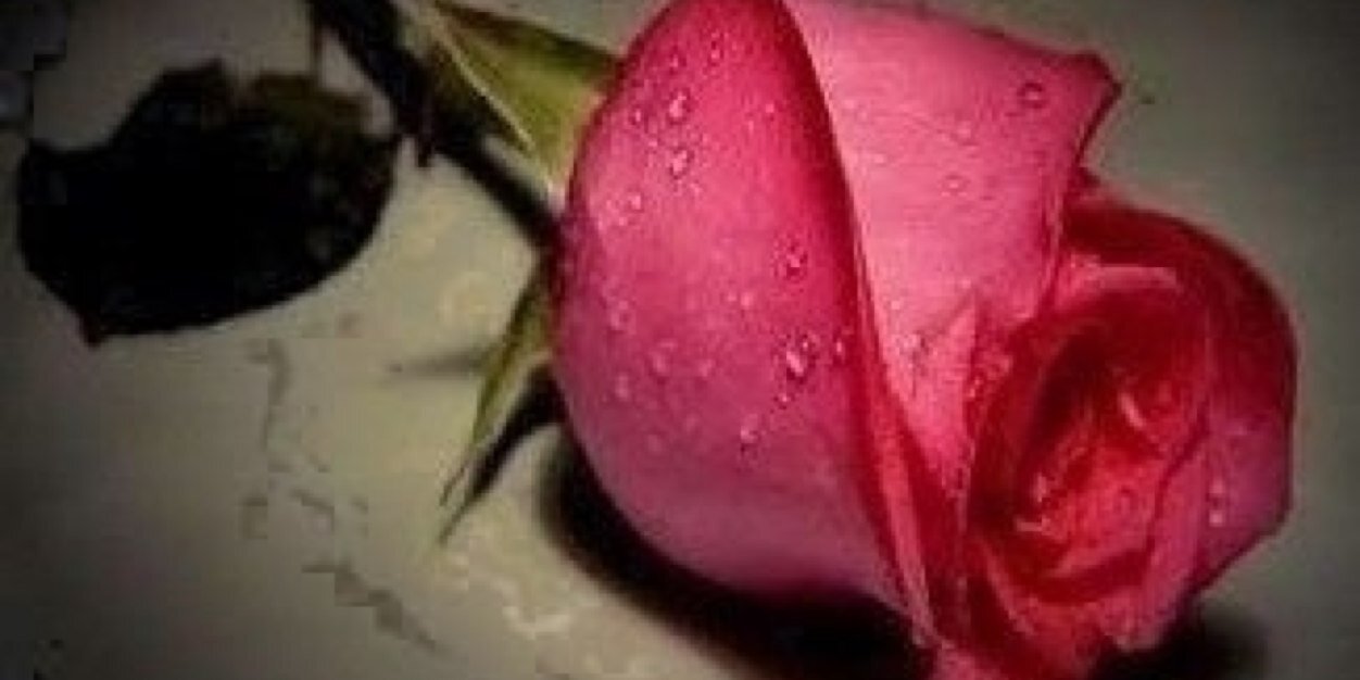 .... banner