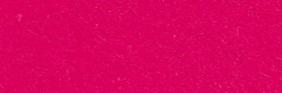 Fiorella Sargenti banner