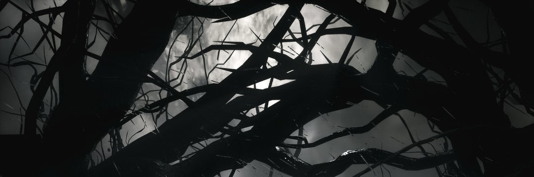 ben_dito_'s profile banner image