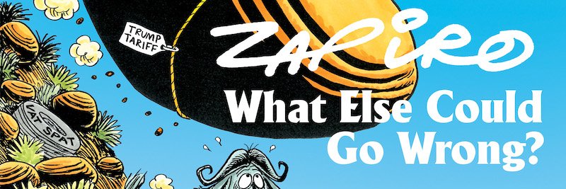 Zapiro banner