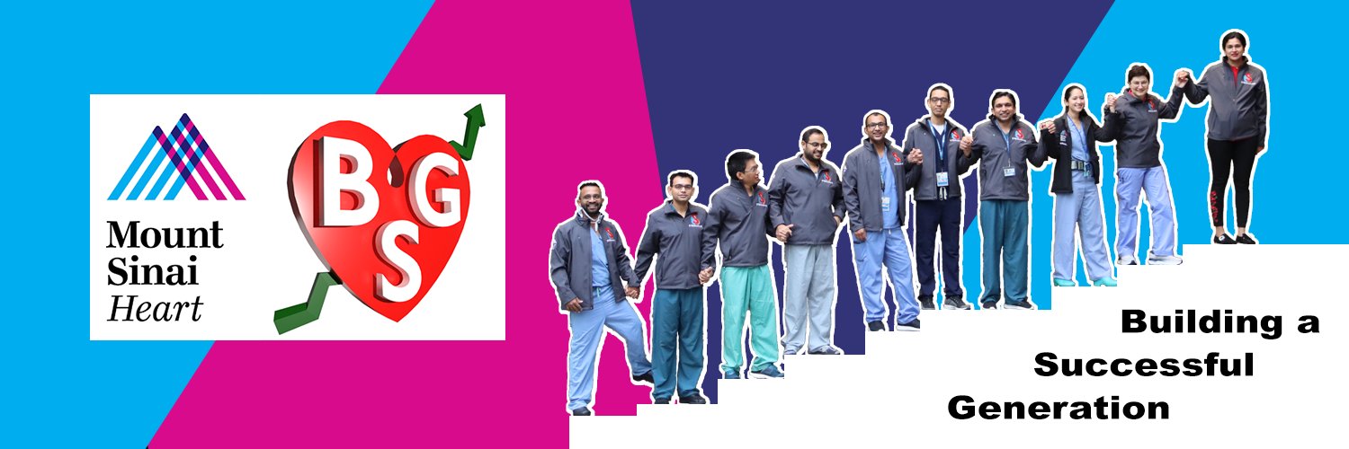 BSG banner