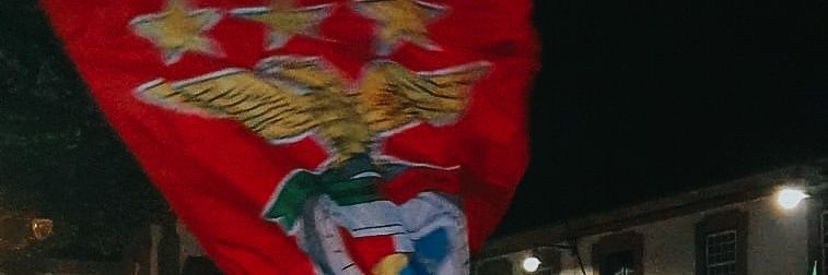 •irina• banner