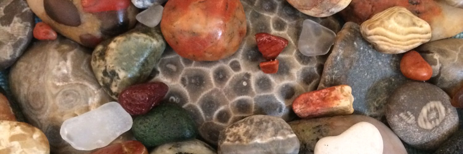 Bill Ozinga banner
