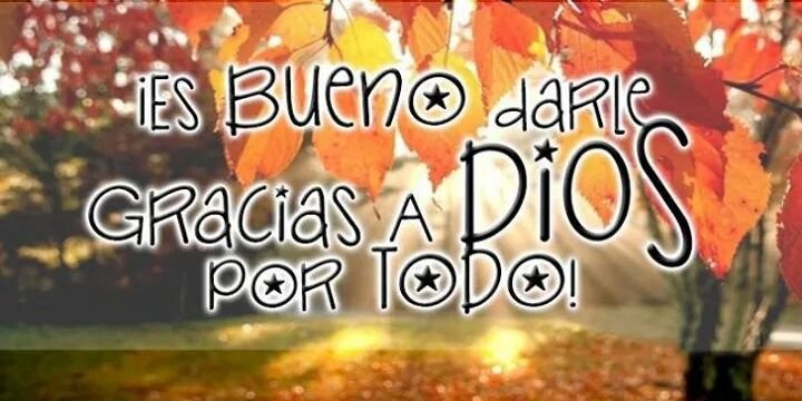 Rosangela Oñate  banner