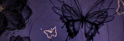asher banner