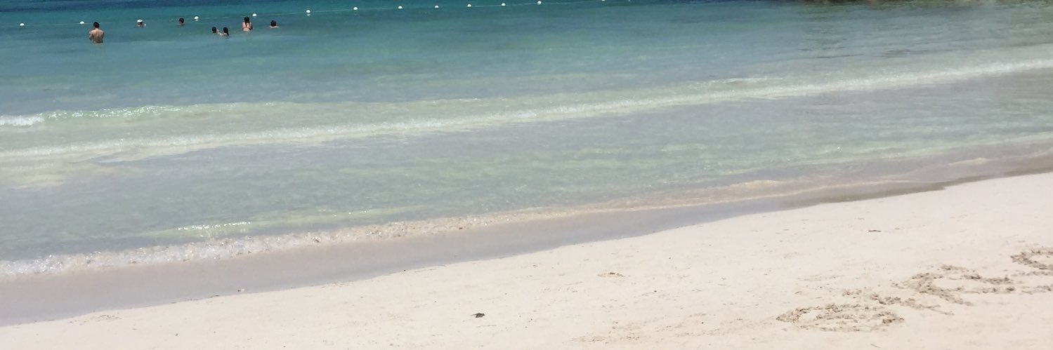 kkmerlin1's profile banner image