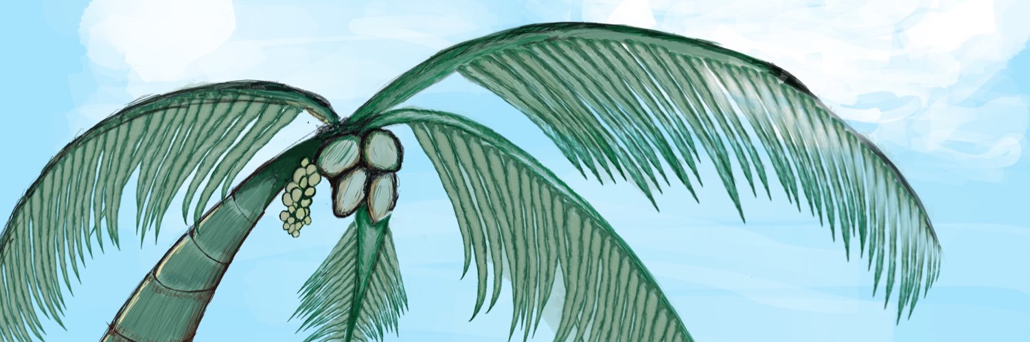 shiinzu's profile banner image
