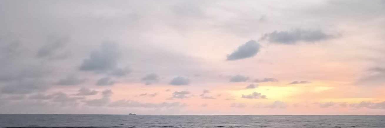 Lia banner