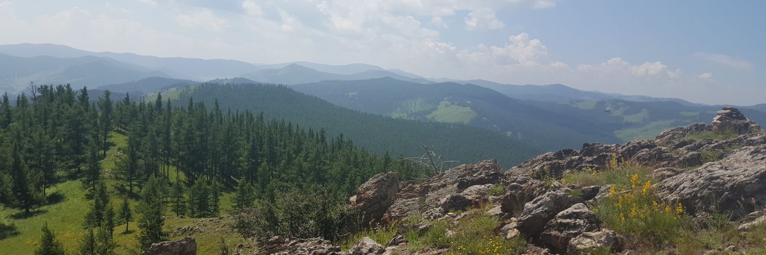 Аялагч's banner