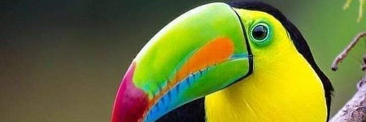 GeoRivero's profile banner image