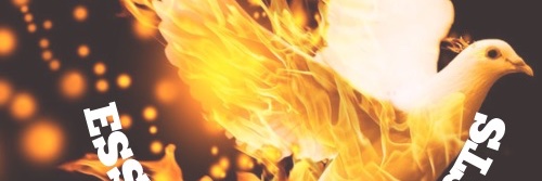 MaryKayTWJ's profile banner image
