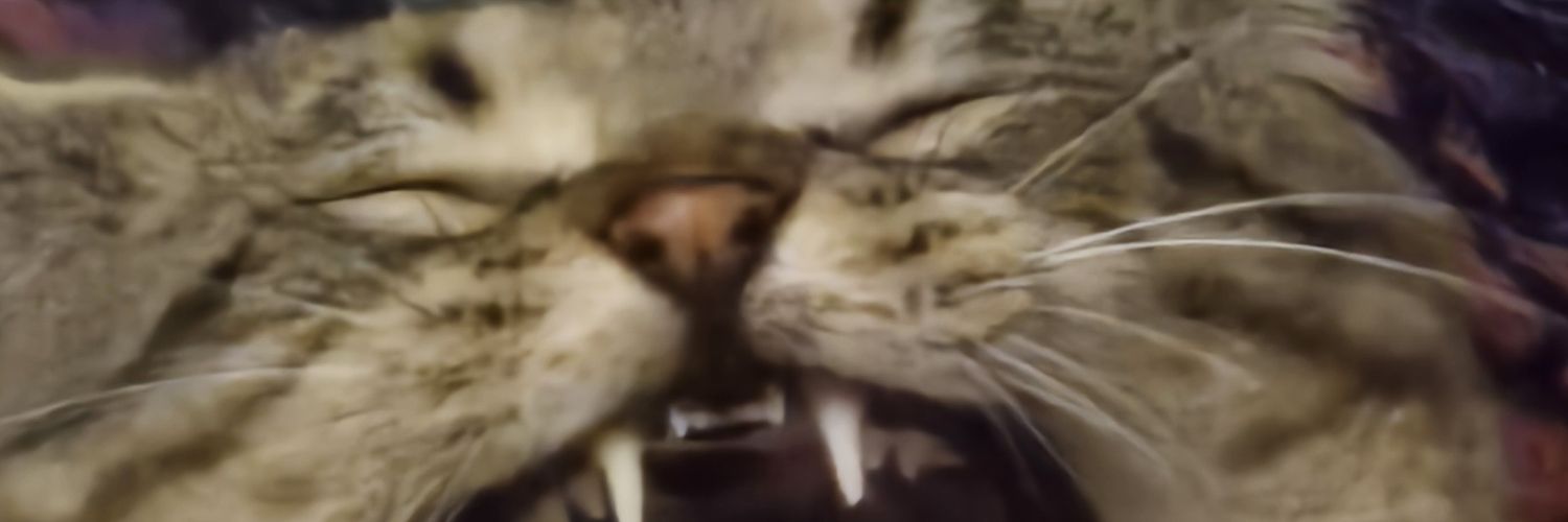 CroCreecher's profile banner image