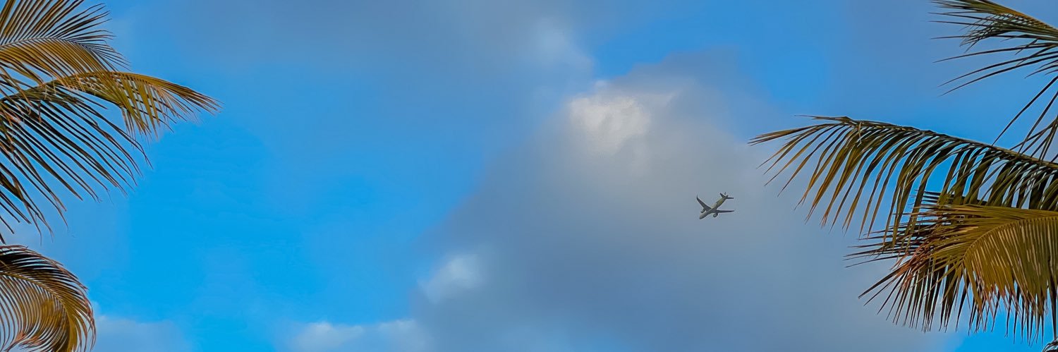 sii_vv's profile banner image